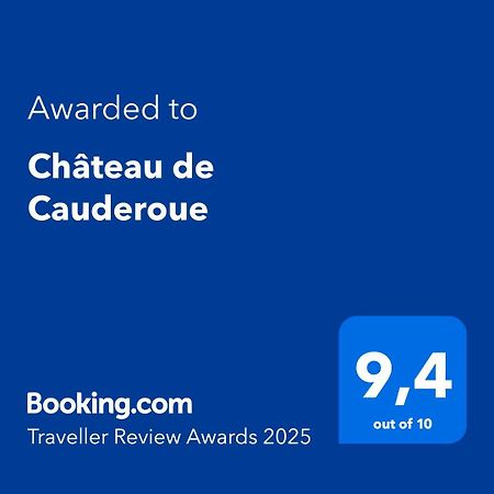 Chateau De Cauderoue Nérac Exterior photo