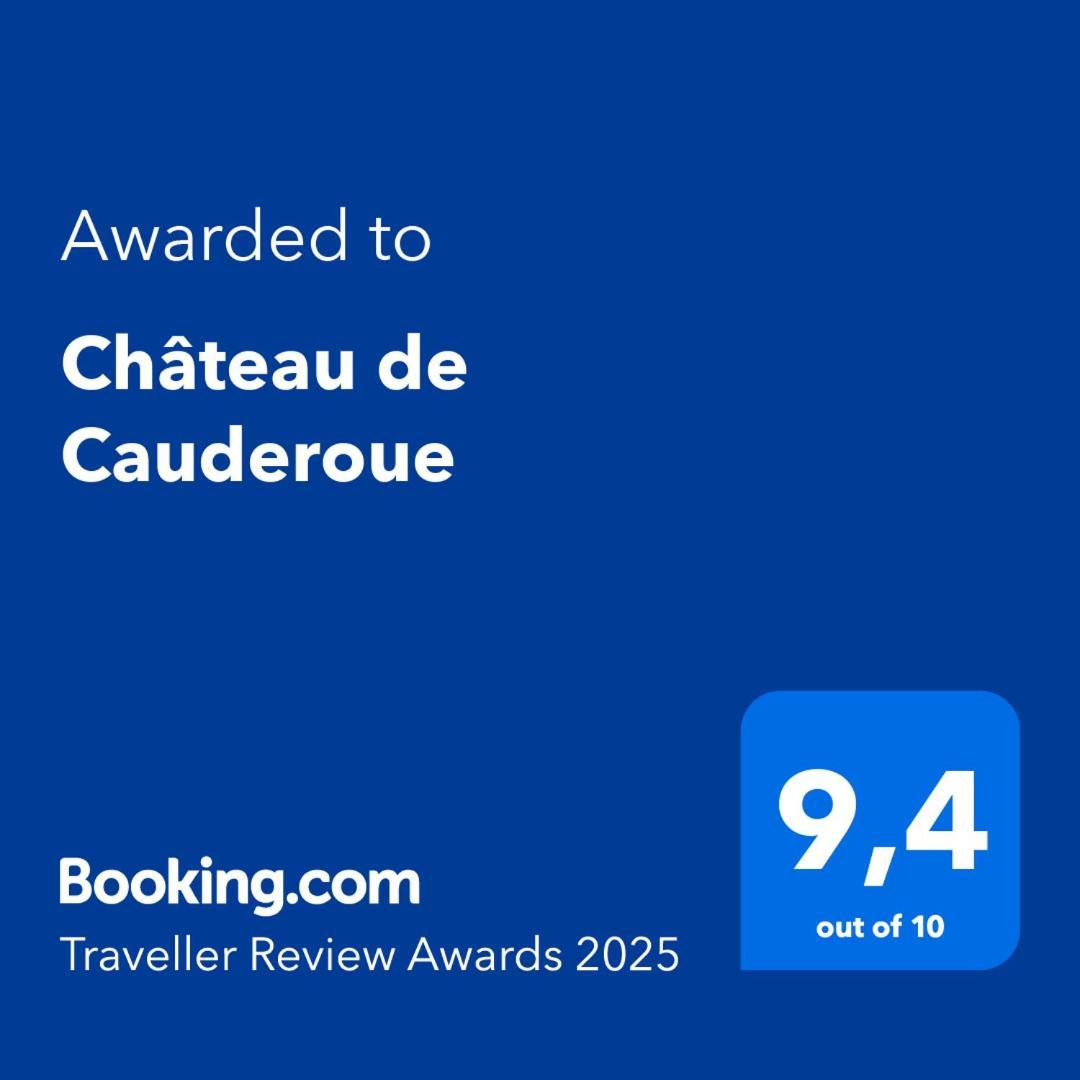 Chateau De Cauderoue Nérac Exterior photo